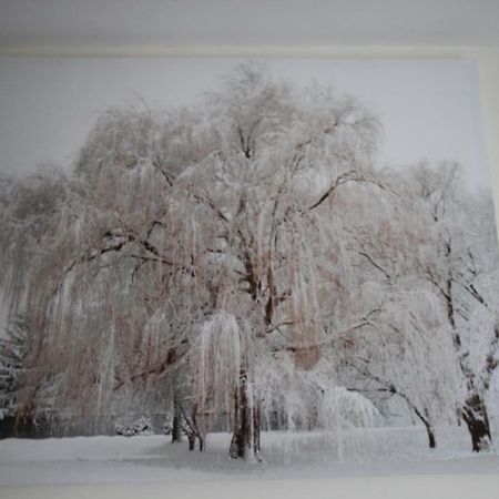 Longview House Bed & Breakfast Ballymoney Luaran gambar