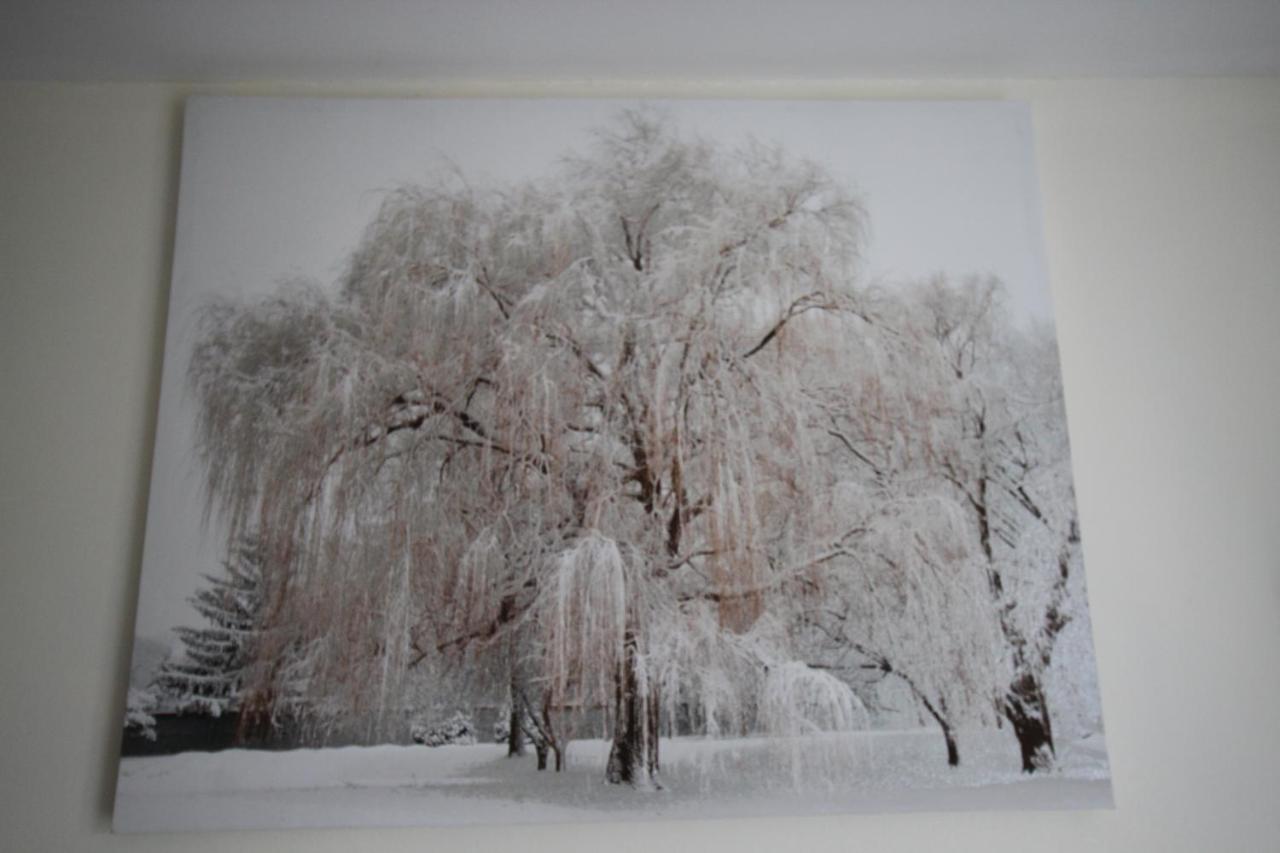 Longview House Bed & Breakfast Ballymoney Luaran gambar